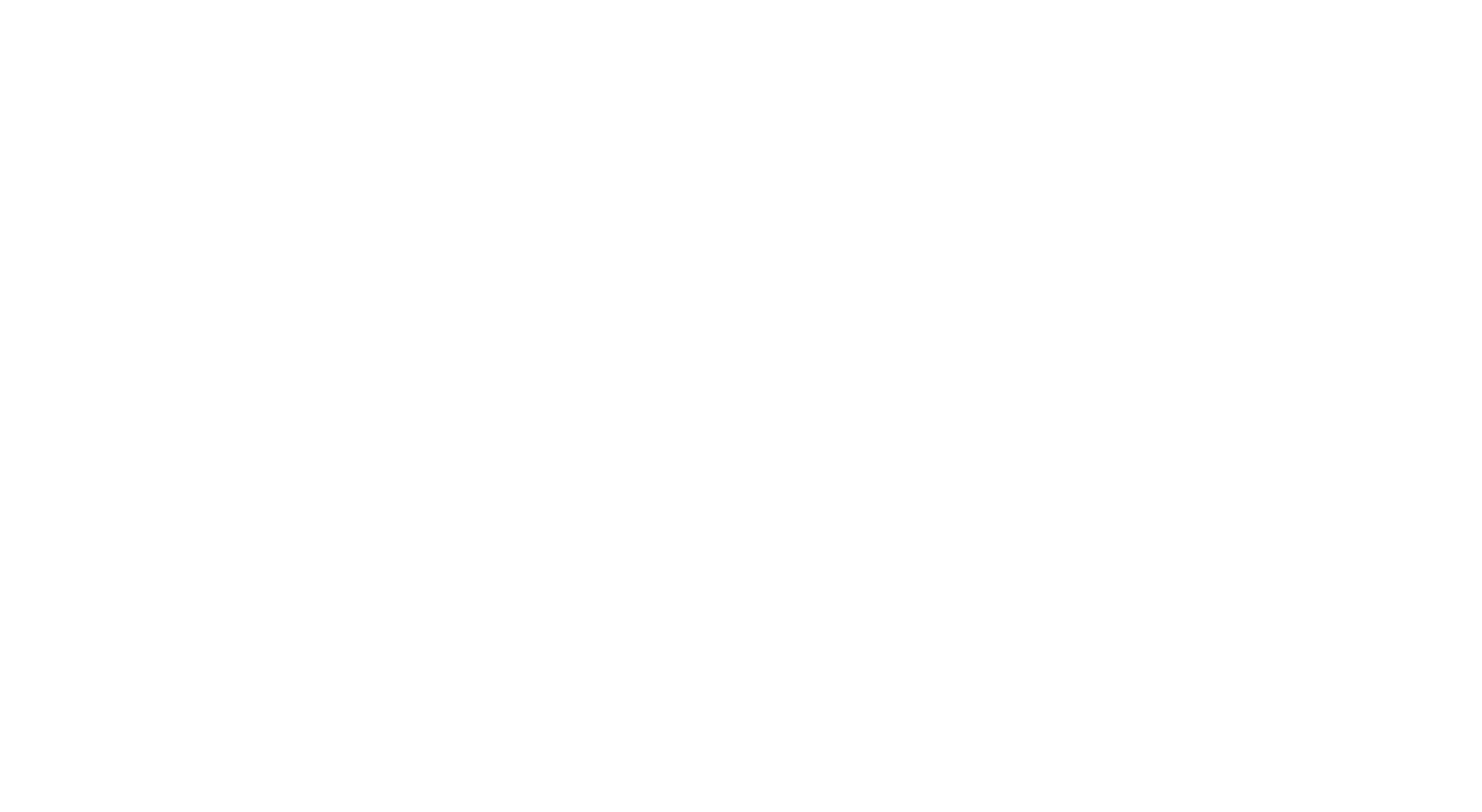 Stone Pro